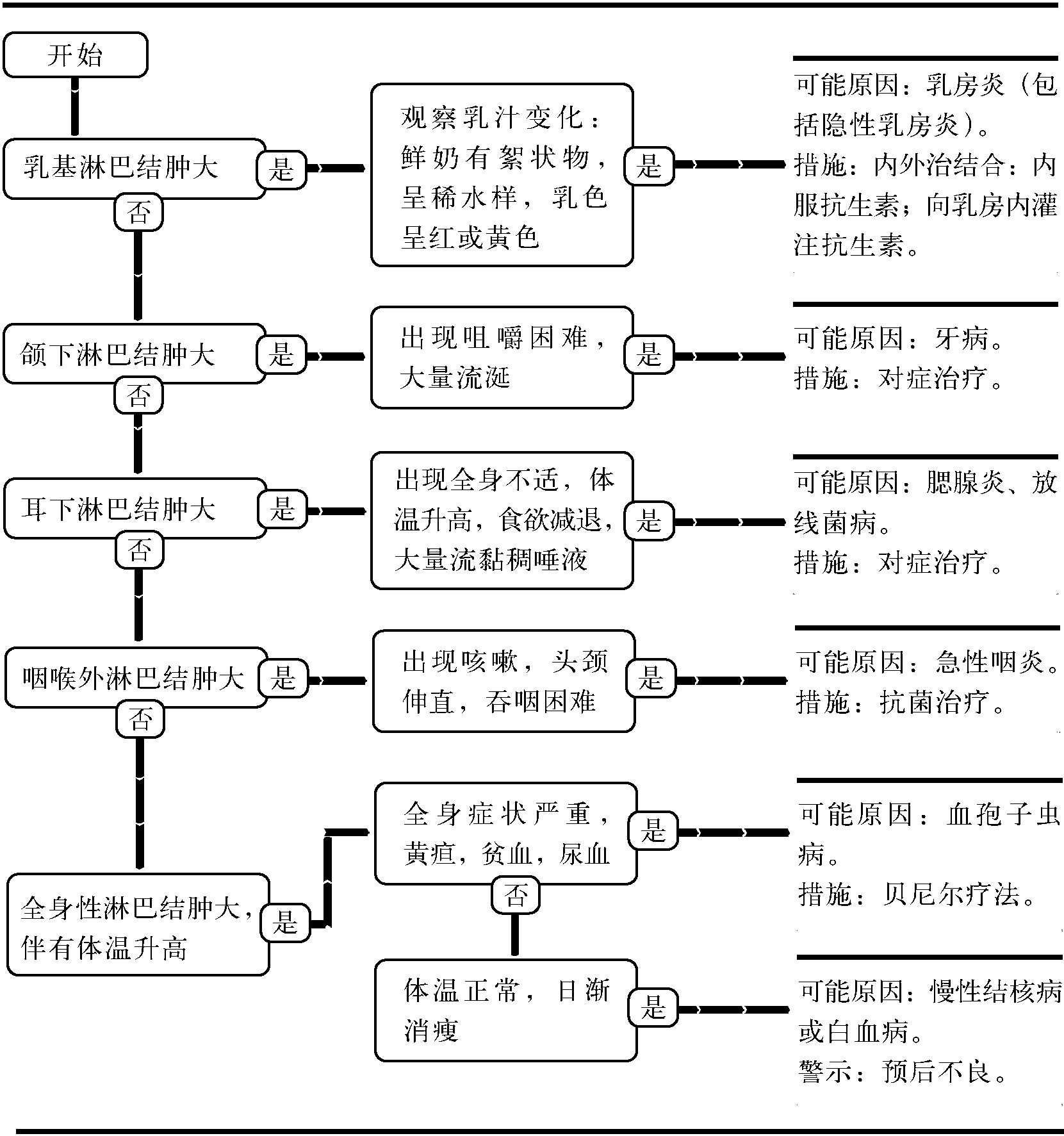 5.淋巴結(jié)檢查